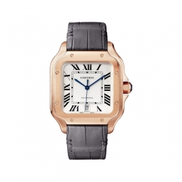 Cartier Santos de Cartier Watch WGSA0019