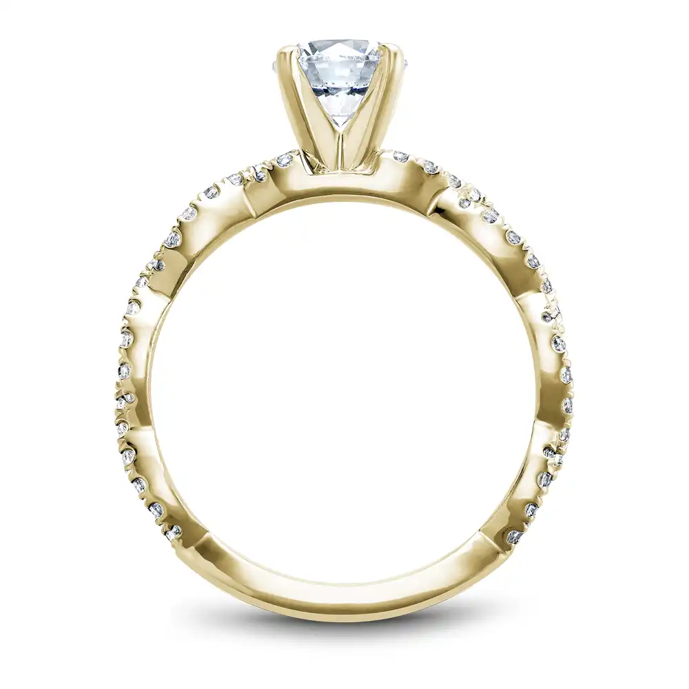 Noam Carver Semi Mount Engagement Ring