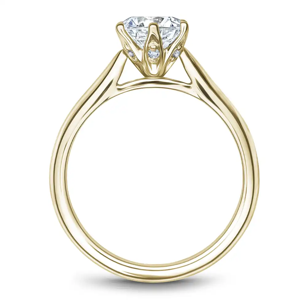 Noam Carver Semi Mount Engagement Ring