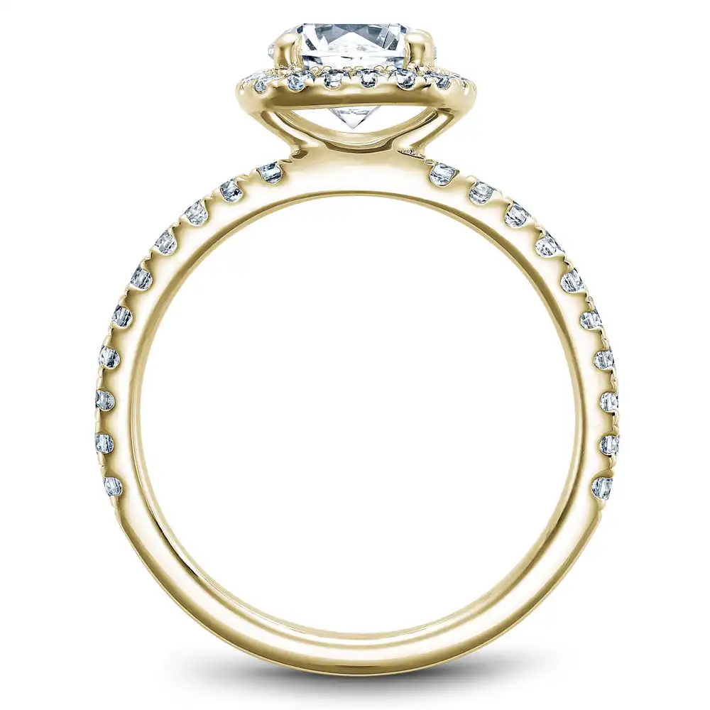 Noam Carver Semi Mount Engagement Ring