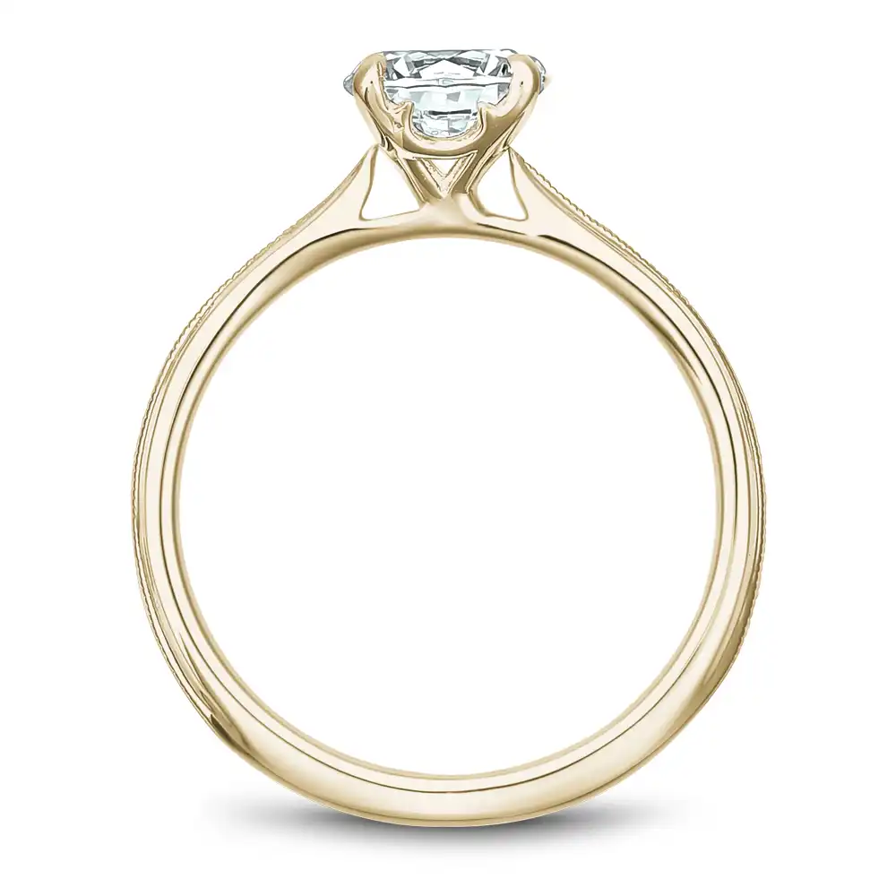 Noam Carver Semi Mount Engagement Ring