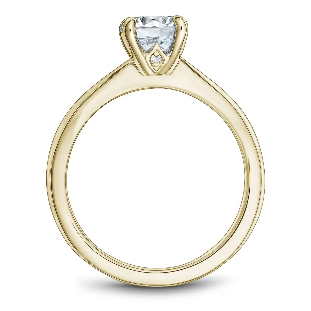 Noam Carver Semi Mount Engagement Ring