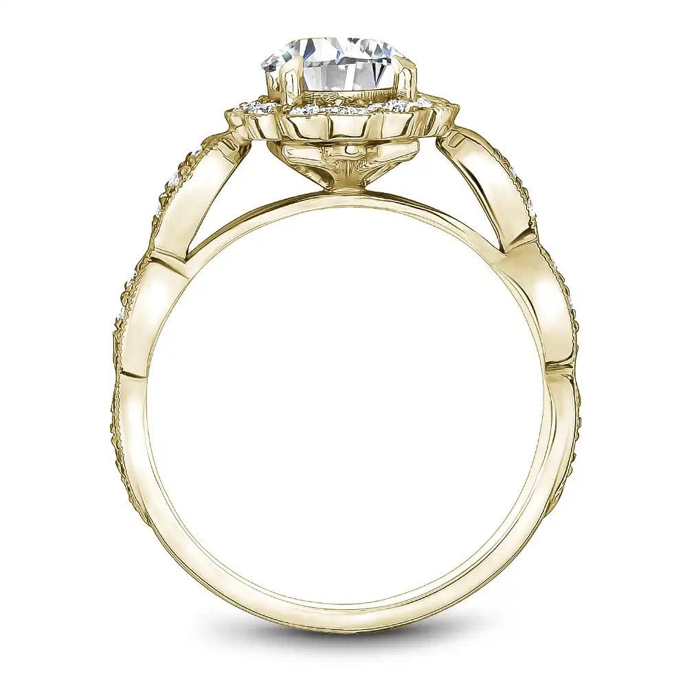 Noam Carver Semi Mount Engagement Ring