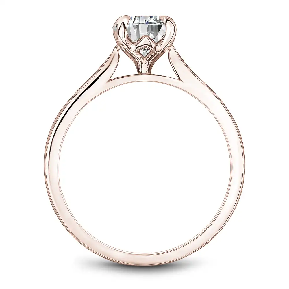 Noam Carver Semi Mount Engagement Ring