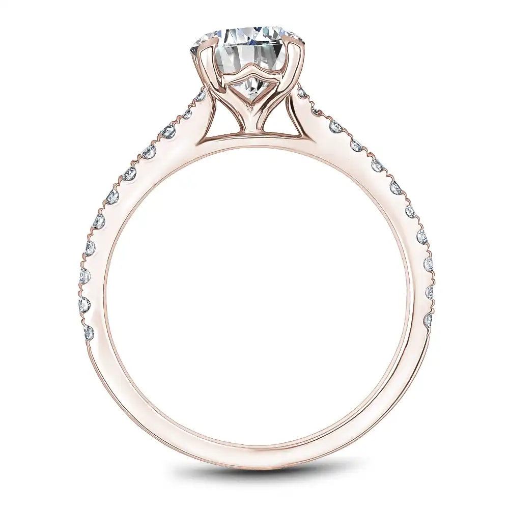 Noam Carver Semi Mount Engagement Ring