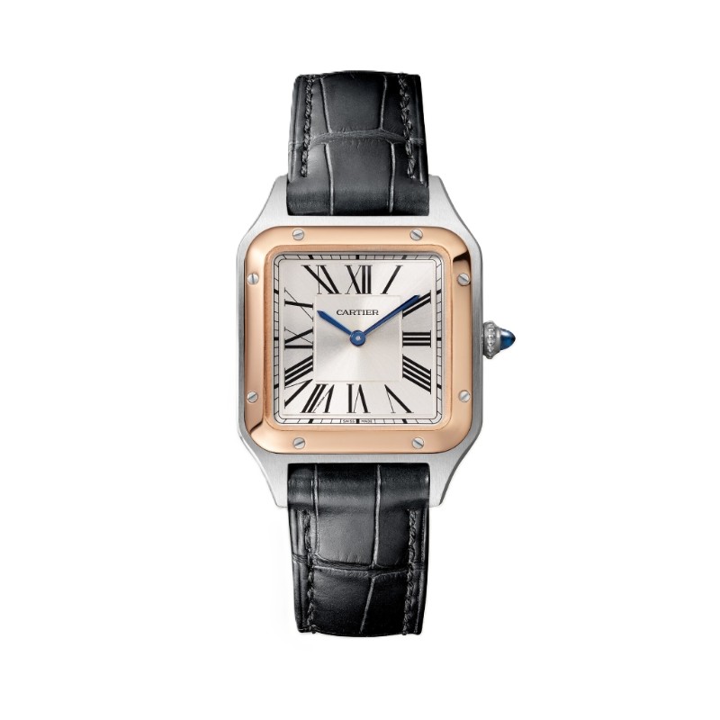 Santos-Dumont watch W2SA0037