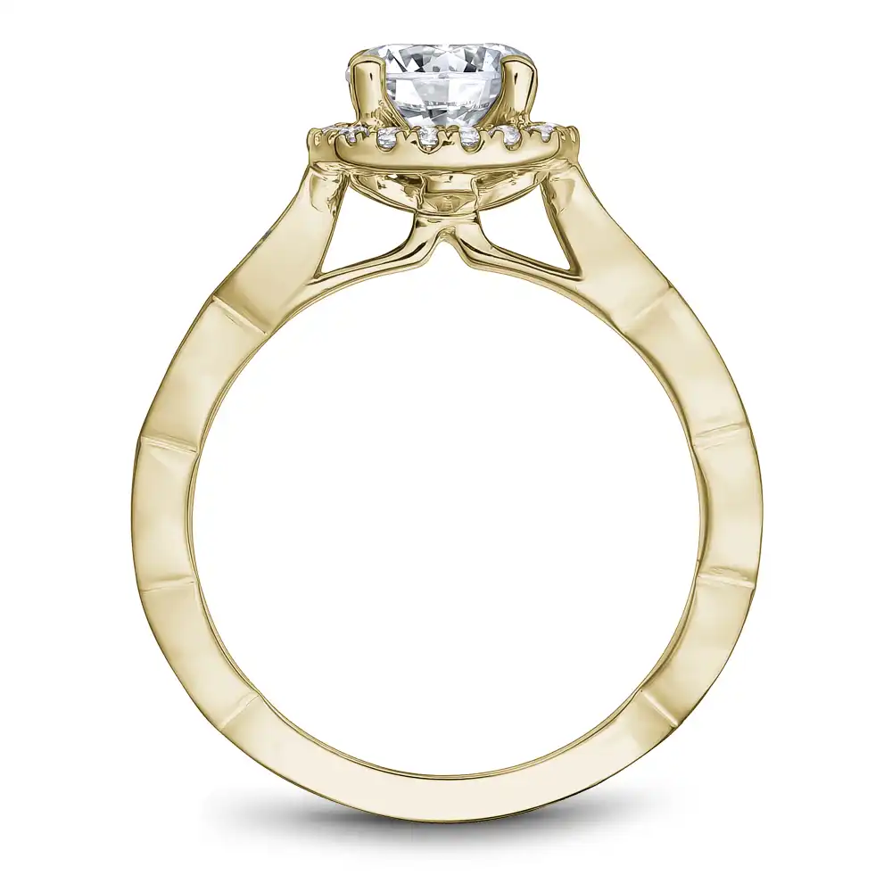 Noam Carver Semi Mount Engagement Ring