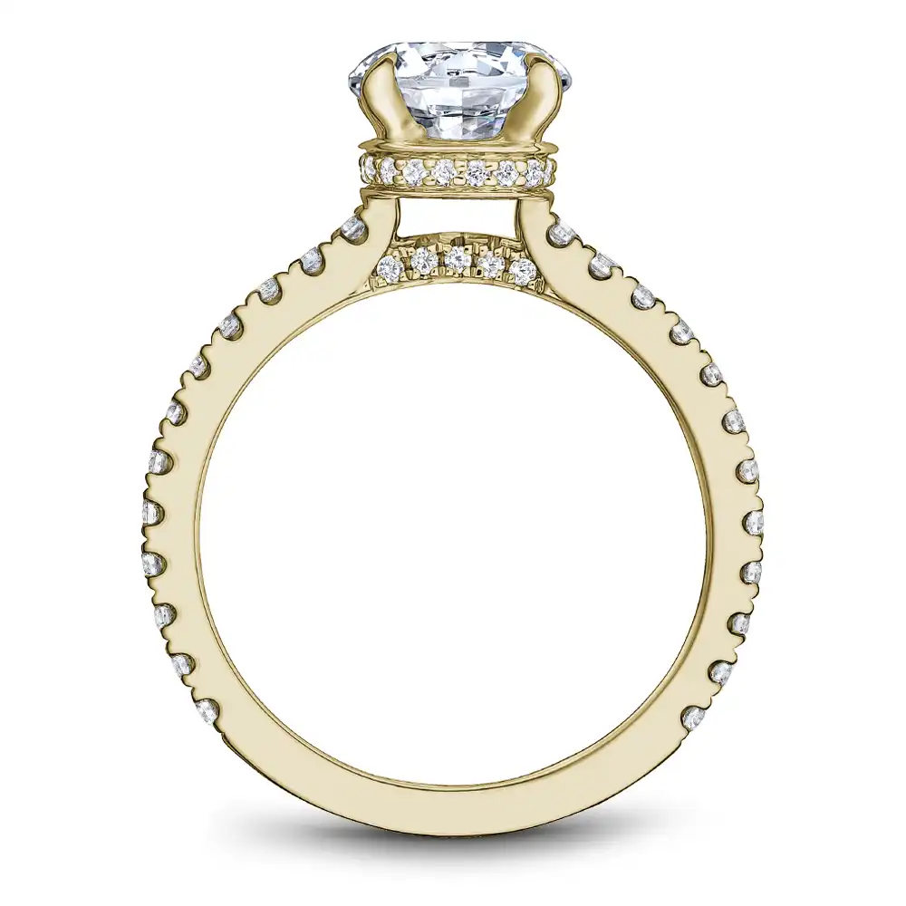 Noam Carver Semi Mount Engagement Ring