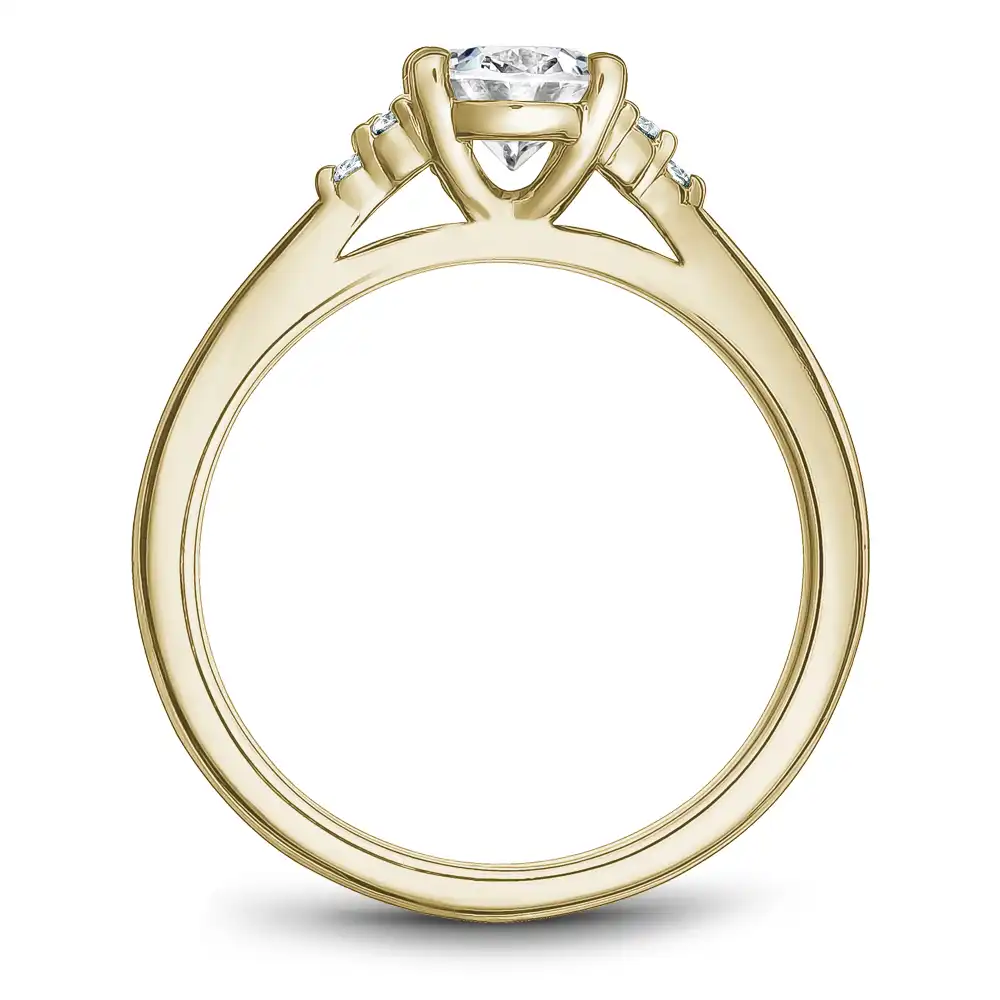 Noam Carver Semi Mount Engagement Ring