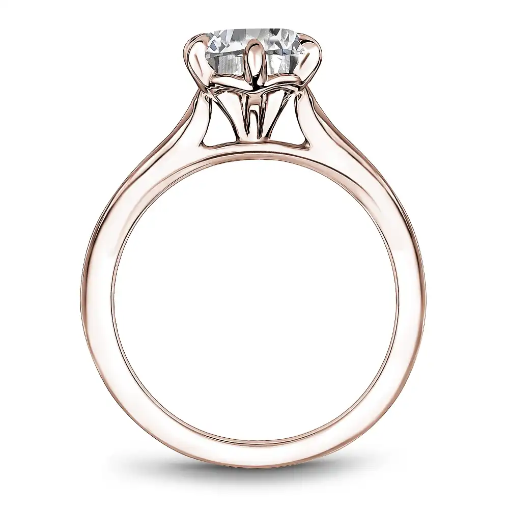 Noam Carver Semi Mount Engagement Ring